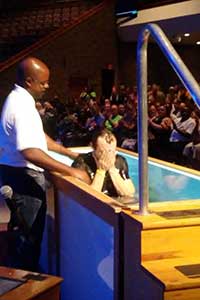 Anthony being baptized